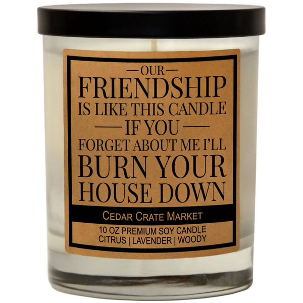 Our Friendship is Like This Candle - Best Friend Gift